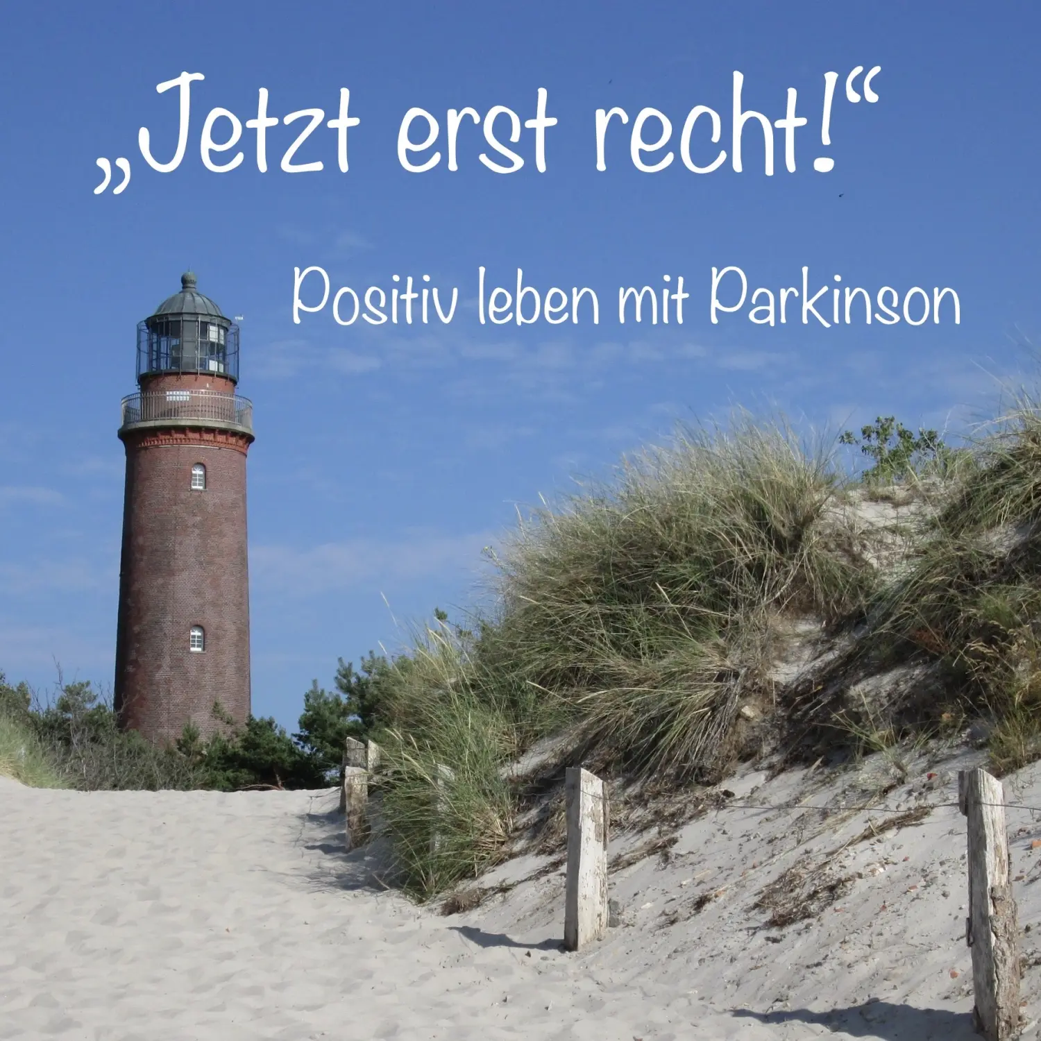 Jetzt erst recht! Positiv leben mit Parkinson